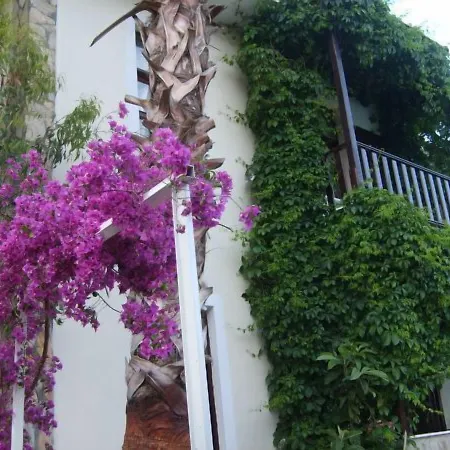 Erciyes Отель *