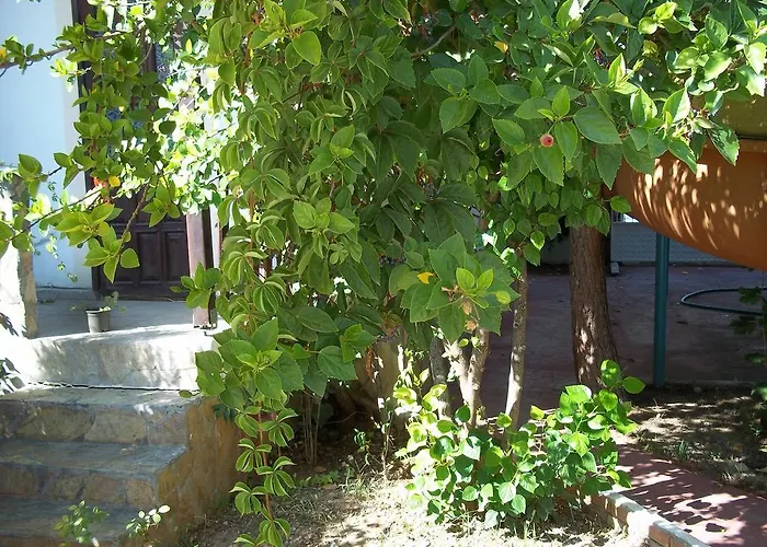 Erciyes Отель *