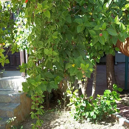 Erciyes Hotel apartamentowy *