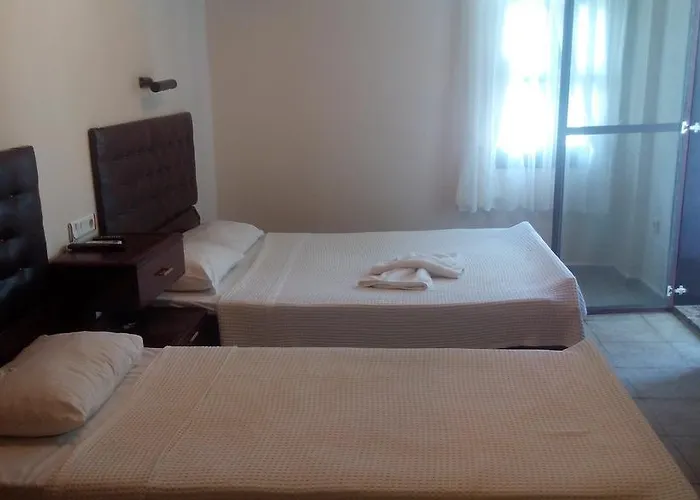 Erciyes Hotell *